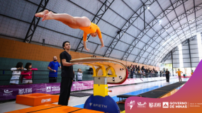 A Beleza e o Desafio da Ginástica Artística: Veja os Melhores Momentos.